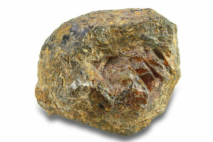 Pallasite Meteorite ( g) - NWA #281456